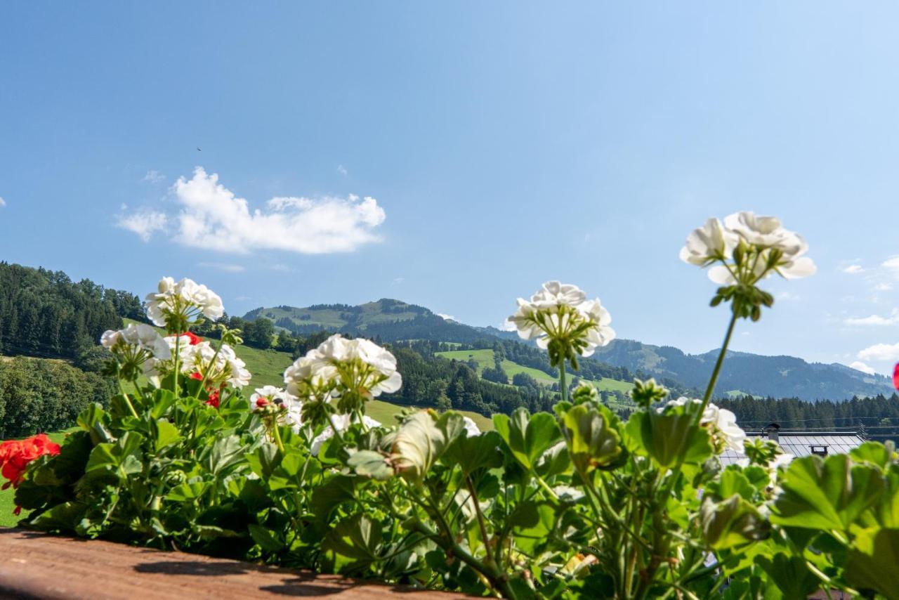 Hotel Kitz Garni Boutique Hotel 키츠부헬 외부 사진